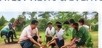 Tree Plantation Initiative